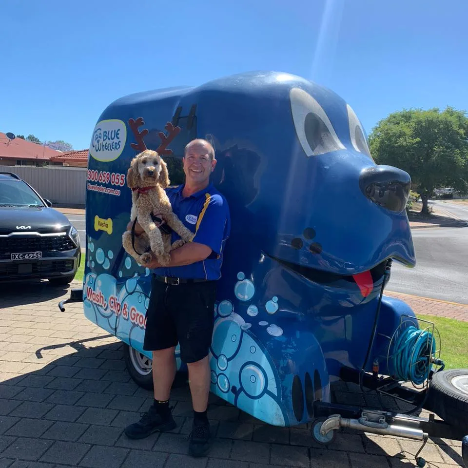 BlueWheelers