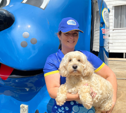 Ashley, Blue Wheelers Caboolture, QLD. Dog Groomer (2)