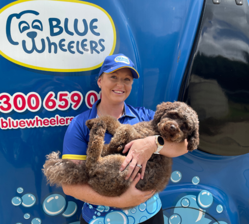 Louise, Blue Wheelers Dapto, NSW. Dog Groomer