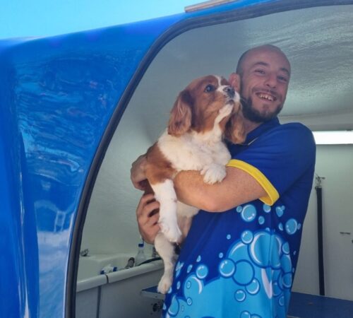 Matt, BW Brown Hill. VIC. Dog Groomer