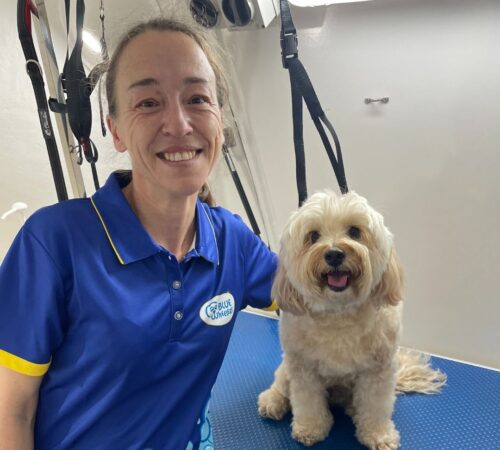 Kirsten, Blue Wheelers Albany Creek, QLD. Dog Groomer