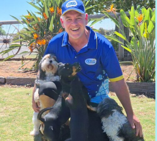 Scott, Blue Wheelers Mildura, VIC. Dog Groomer