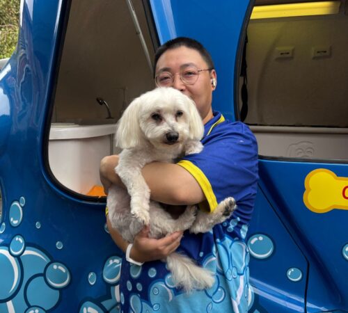 Chen Blue Wheelers Endeavour Hills VIC. Dog Groomer