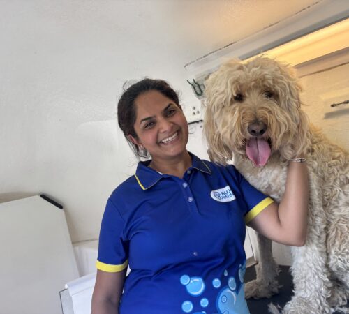 Yamini, mobile dog groomer, Blue Wheelers Glen Waverley.