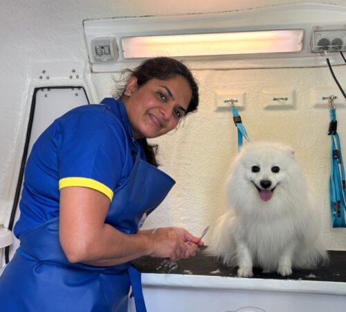 Yamini, Blue Wheelers Glen Waverley. Dog Groomer VIC
