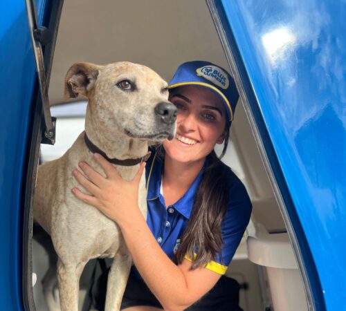 Grace, Blue Wheelers Kiama. Dog Groomer