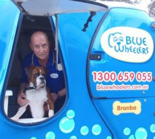 dog groomers adelaide southern suburbs