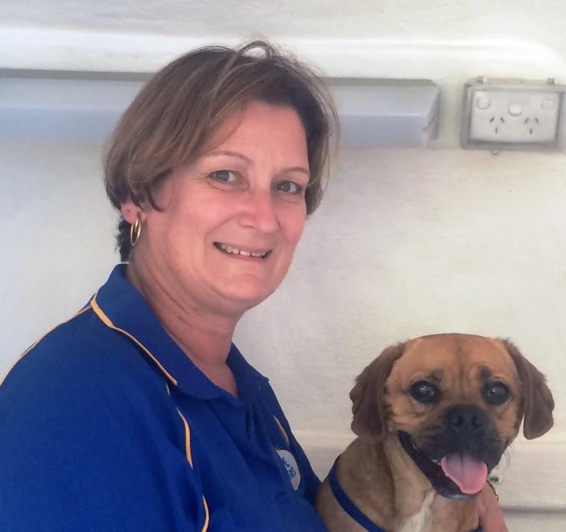 Blue Wheelers Glen Waverley Blue Wheelers