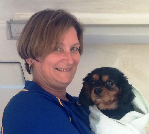 anns mobile grooming